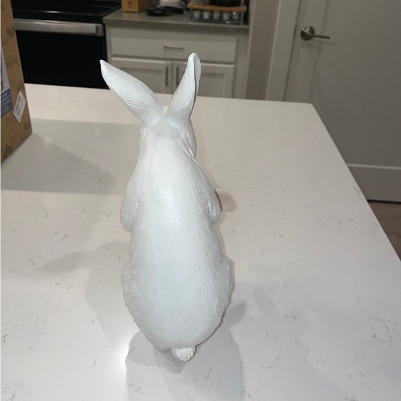 Bunny Rabbits - Picture 4 of 7